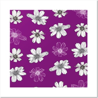 White Cosmos flowers on magenta Posters and Art